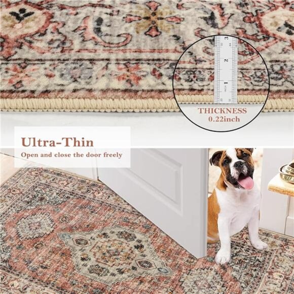 Oriental Door Mat Indoor Entrance, 2x3 Washable Indoor Rugs for Entryway Soft - Picture 5 of 7